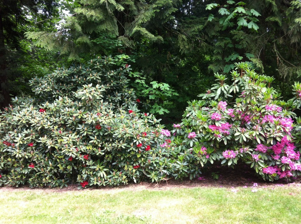 11424 Case-Extension Road Southwest Olympia, WA 98512 - Photo 11 of 15