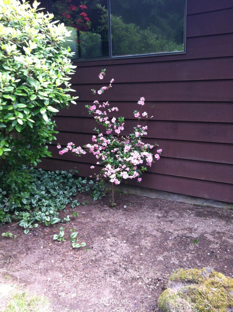 11424 Case-Extension Road Southwest Olympia, WA 98512 - Photo 15 of 15