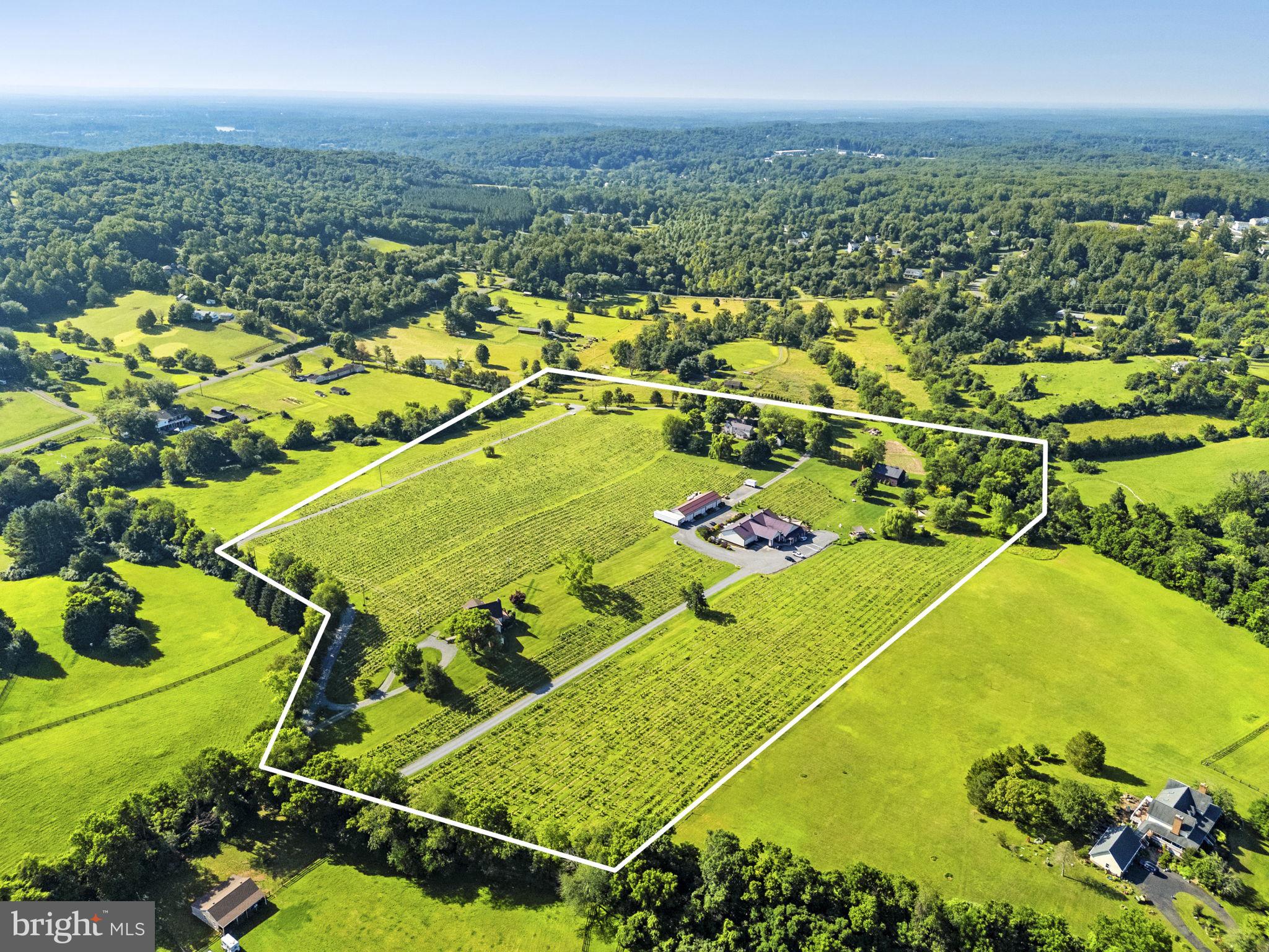 6190 Georgetown Road Broad Run, VA 20137 - Photo 3 of 95 25 acres, 12+ under vine
