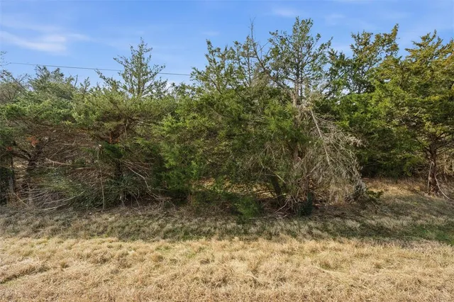 a view of a yard with trees