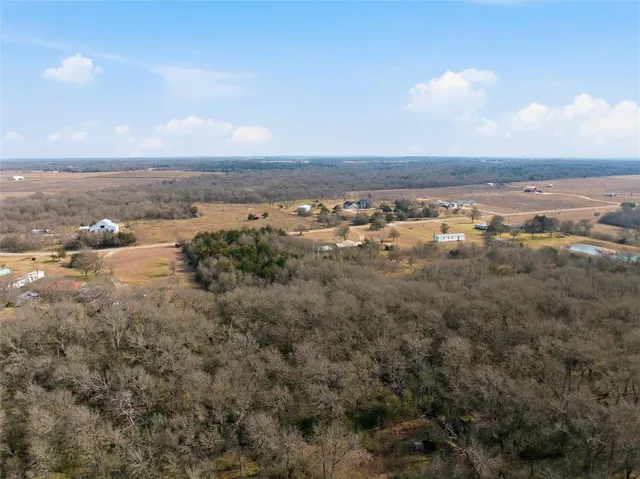 a view of a yard with trees