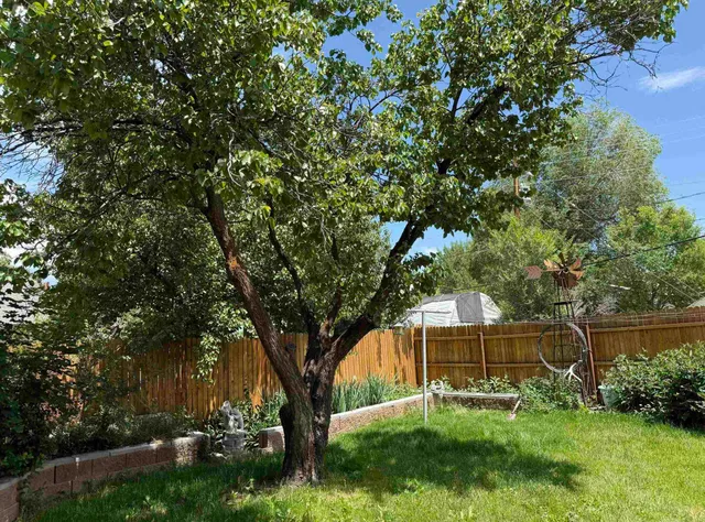 $725,000 | 201 Box Elder Avenue, Paonia, CO 81428