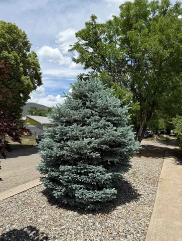 $725,000 | 201 Box Elder Avenue, Paonia, CO 81428