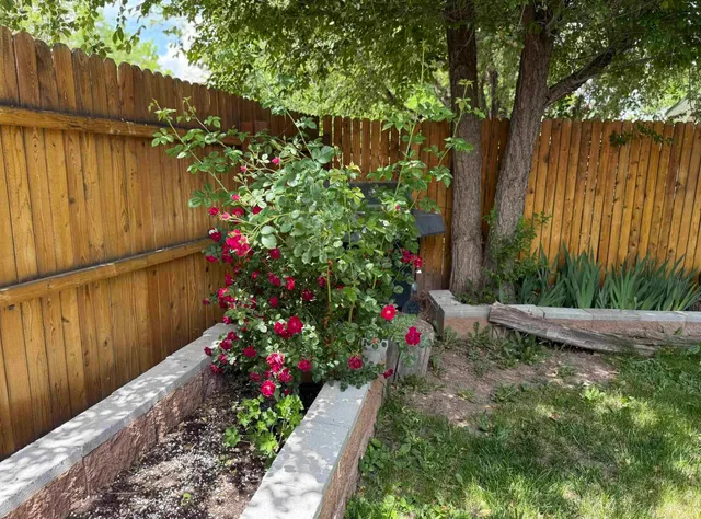 $725,000 | 201 Box Elder Avenue, Paonia, CO 81428