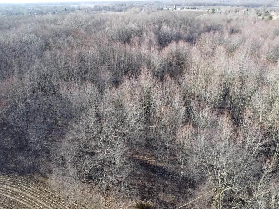 East Dodge Road Clio, MI 48420 - Photo 11 of 39 11