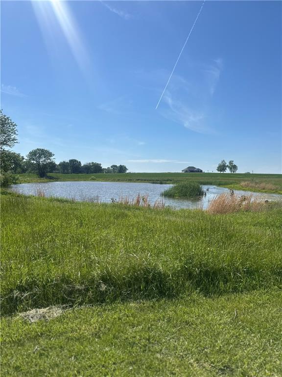 169 Northeast County Road Warrensburg, MO 64093 - Photo 8 of 30
