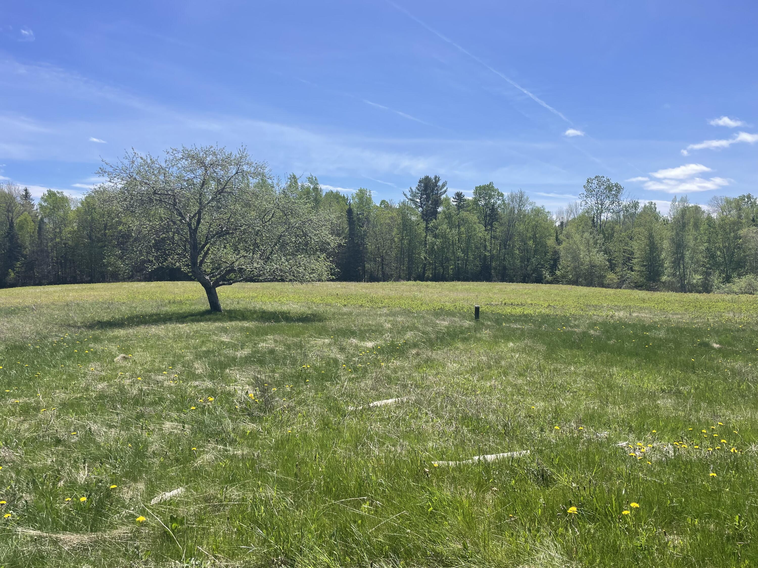 43 Baker Road Burlington, ME 04417 - Photo 3 of 12 Hattabaugh Pic Field