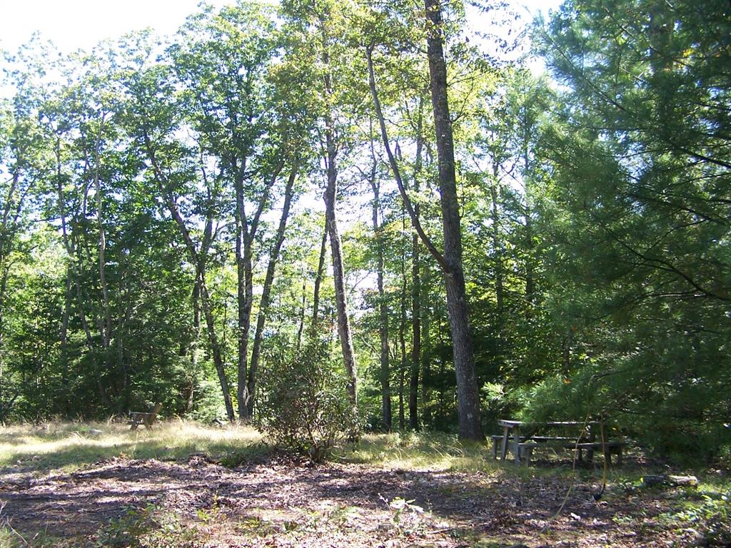 Tbd Blue Springs Road, Unit 18A2 Troutdale, VA 24378 - Photo 28 of 42 Gallery Image 28