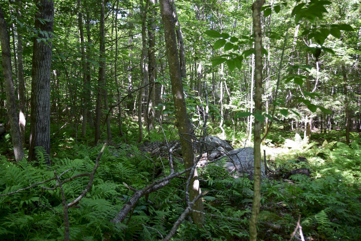 225 Hemlock Road Belgrade, ME 04917 - Photo 5 of 21 DSC_0107