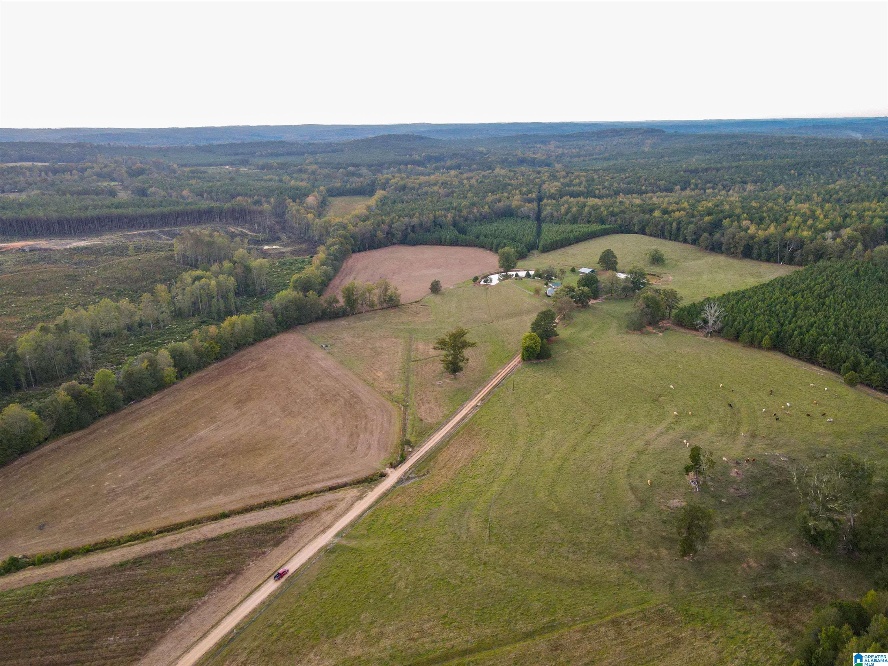 845 Turner Road Fayette, AL 35555 - Photo 39 of 61
