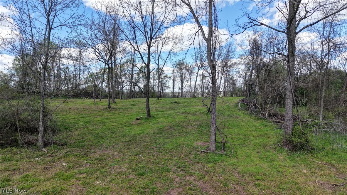Deersville Ridge Road Cadiz, OH 43907 - Photo 5 of 41