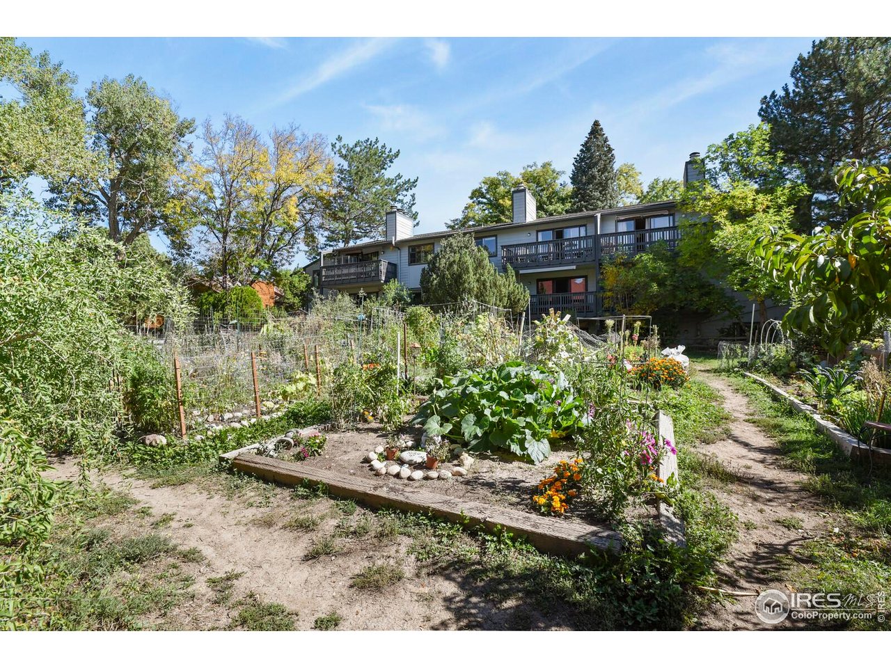 3250 Oneal Circle, Unit 14 Boulder, CO 80301 - Photo 6 of 16 Community Garden
