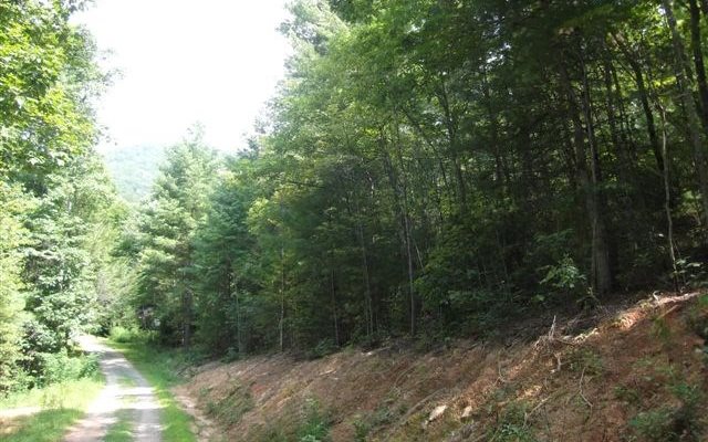 15 Santeetlah Road Murphy, NC 28906 - Photo 1 of 1 Main View