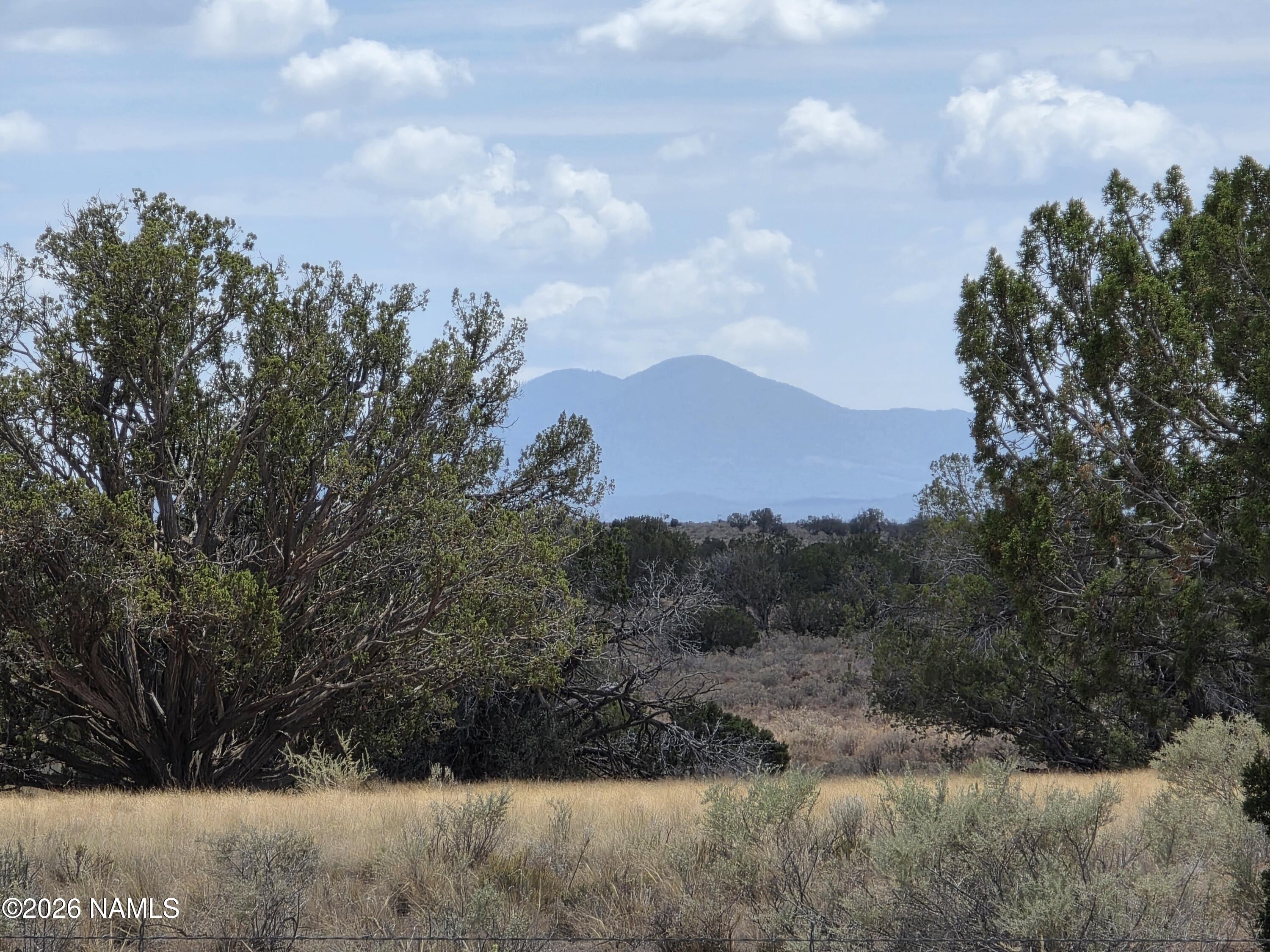 955 San Mateo Road Williams, AZ 86046 - Photo 6 of 24 1000068206