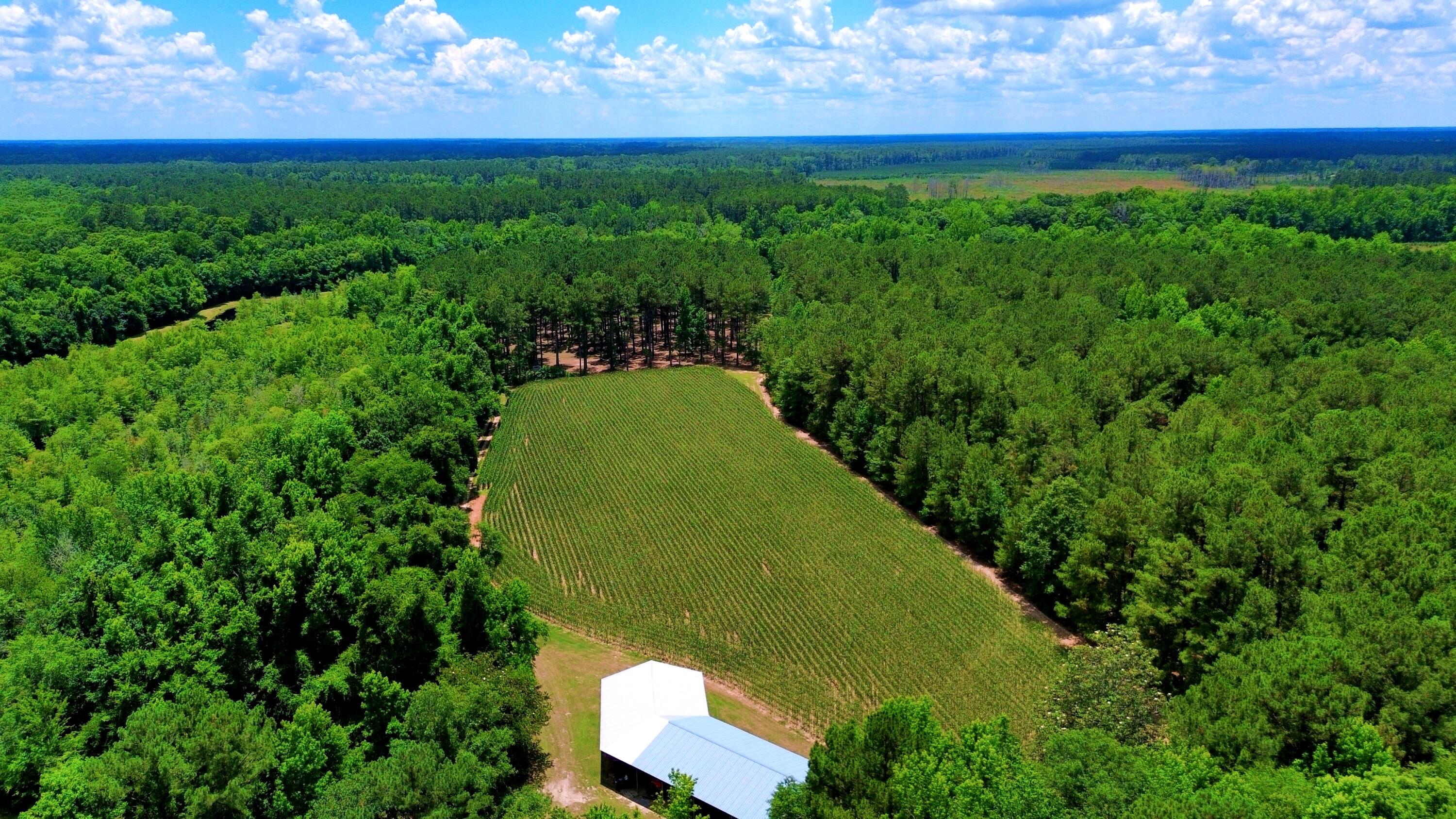 1970 Cross Swamp Road Islandton, SC 29929 - Photo 106 of 150