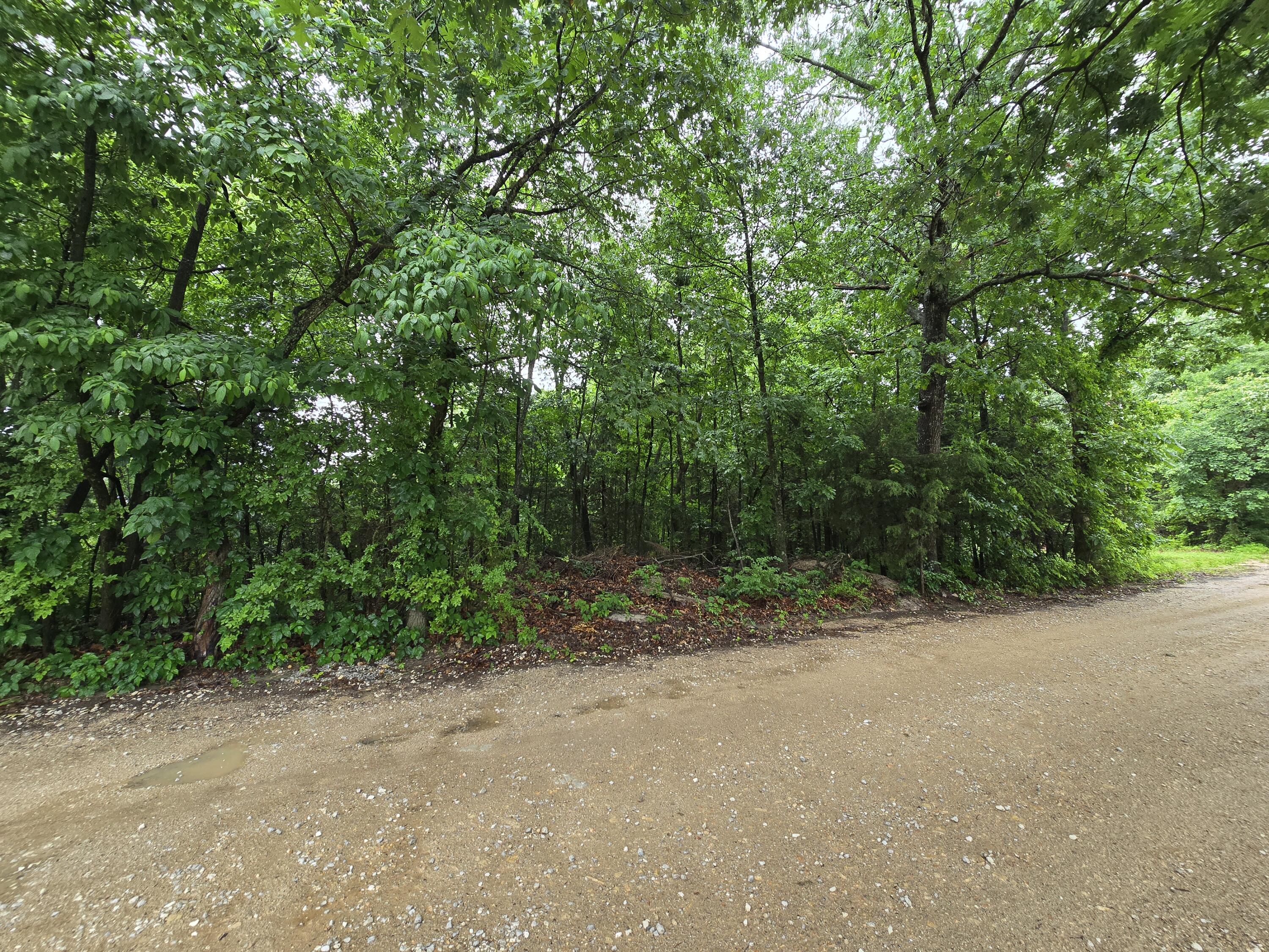 16882 Old Cricket Road West Omaha, AR 72662 - Photo 15 of 20 11
