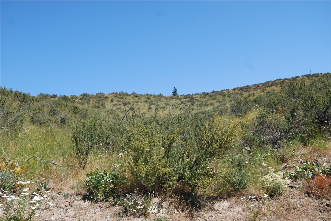 -nna Nna Ivan Morse Road Manson, WA 98831 - Photo 12 of 16