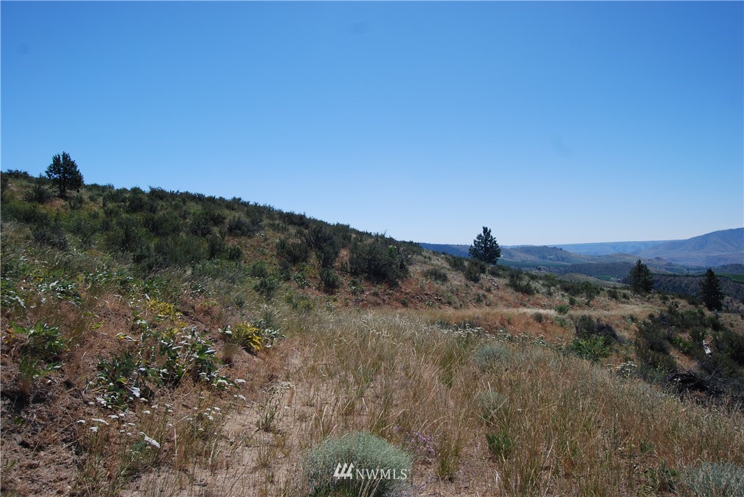 -nna Nna Ivan Morse Road Manson, WA 98831 - Photo 16 of 16