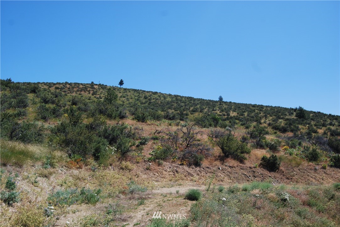 -nna Nna Ivan Morse Road Manson, WA 98831 - Photo 3 of 16