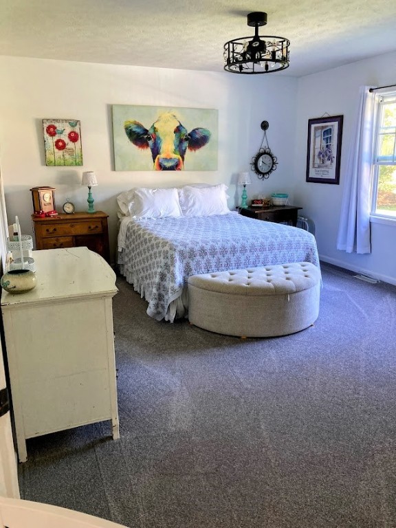 219 Rayfield Circle Webster, NY 14580 - Photo 19 of 36