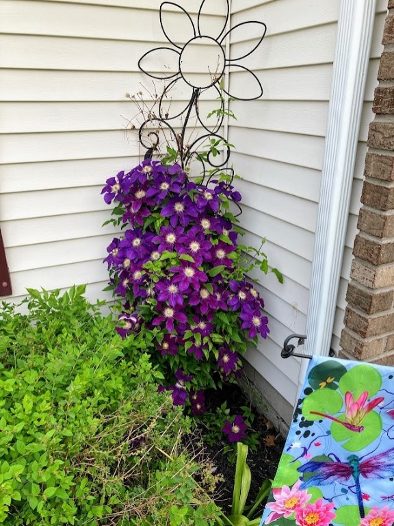 219 Rayfield Circle Webster, NY 14580 - Photo 35 of 36