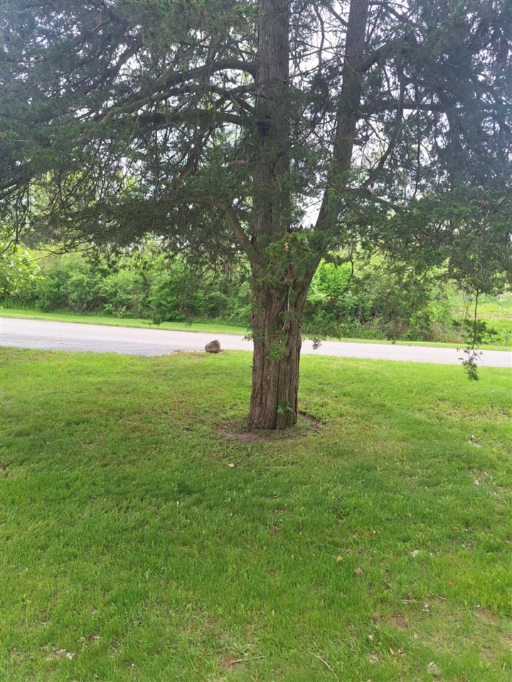 5211 Long Lake Road Reading, MI 49274 - Photo 81 of 99