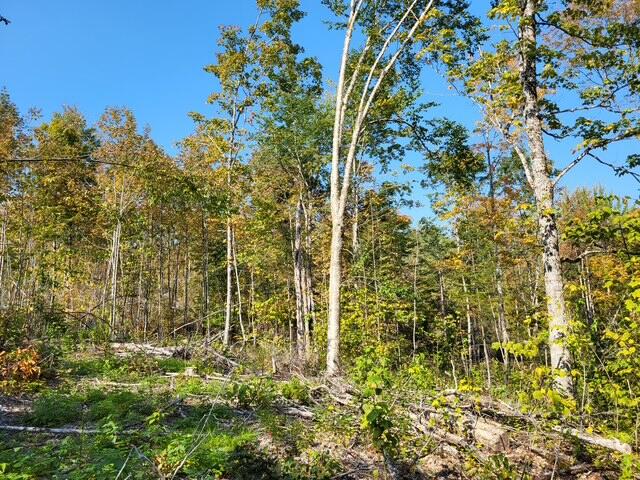 Lot 7-3 Brown Road Oakfield, ME 04763 - Photo 17 of 21 9035982129612007190