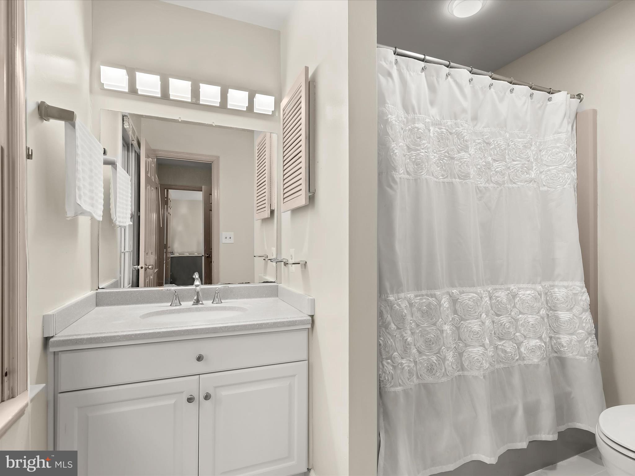 13719 Killarney Court Phoenix, MD 21131 - Photo 41 of 81 a bathroom with a sink vanity and a mirror