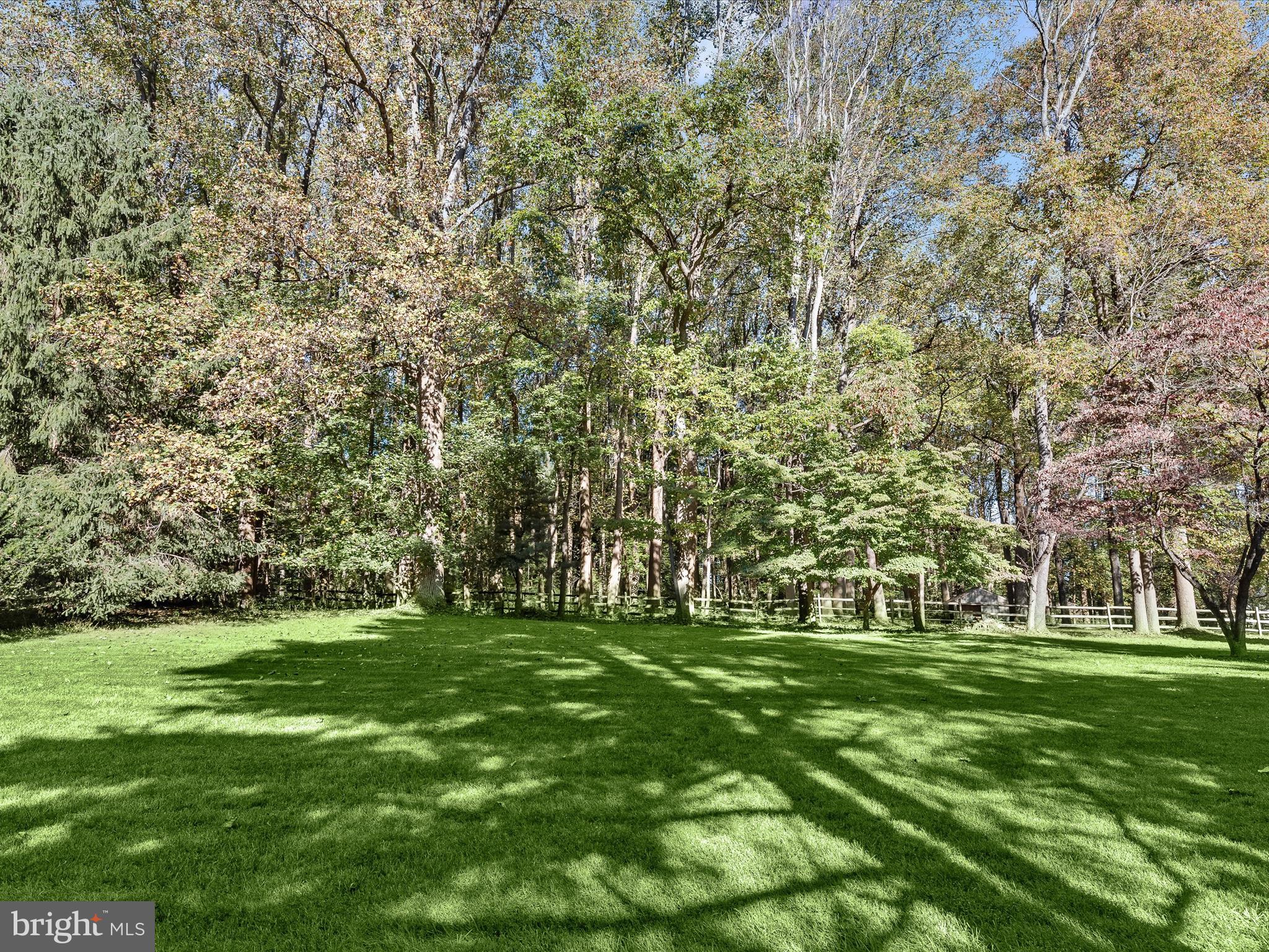 13719 Killarney Court Phoenix, MD 21131 - Photo 62 of 81 a garden view with a trees