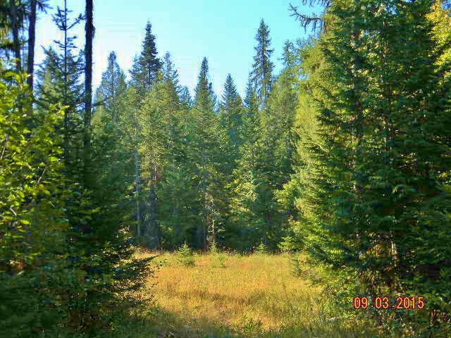 2967 Baker Lake Road Newport, WA 99156 - Photo 1 of 16 Gallery Image 1