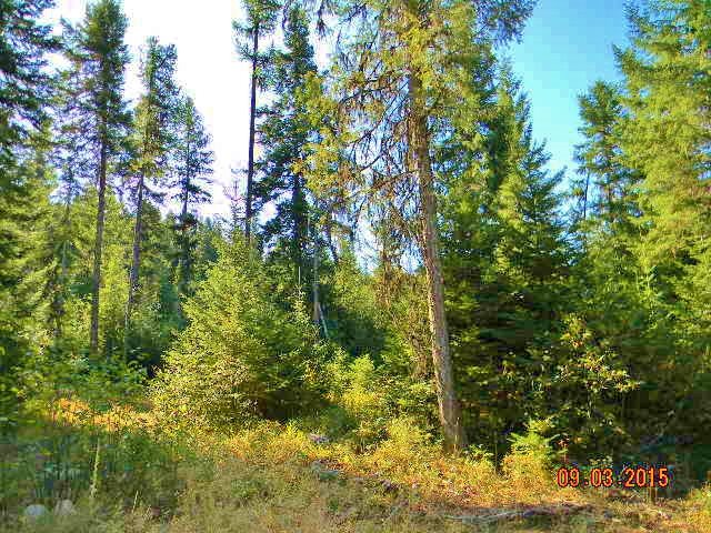 2967 Baker Lake Road Newport, WA 99156 - Photo 11 of 16 Gallery Image 11