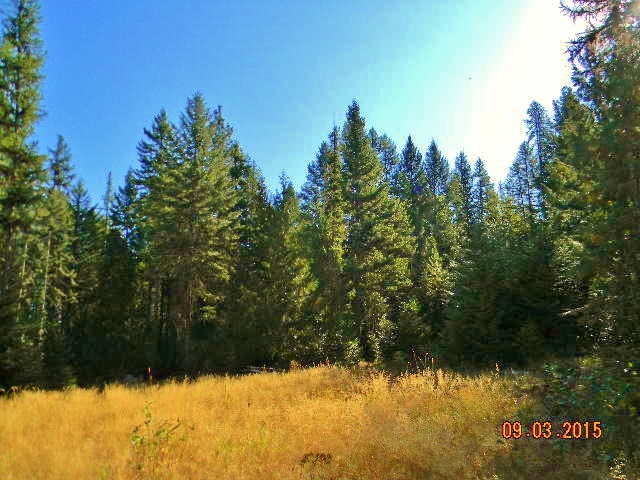 2967 Baker Lake Road Newport, WA 99156 - Photo 12 of 16 Gallery Image 12