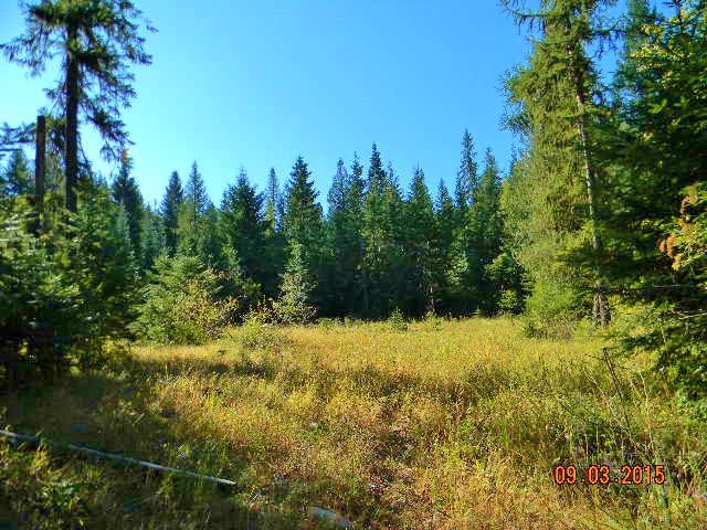 2967 Baker Lake Road Newport, WA 99156 - Photo 13 of 16 Gallery Image 13