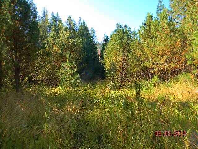 2967 Baker Lake Road Newport, WA 99156 - Photo 5 of 16 Gallery Image 5
