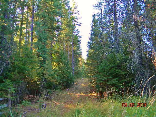 2967 Baker Lake Road Newport, WA 99156 - Photo 6 of 16 Gallery Image 6