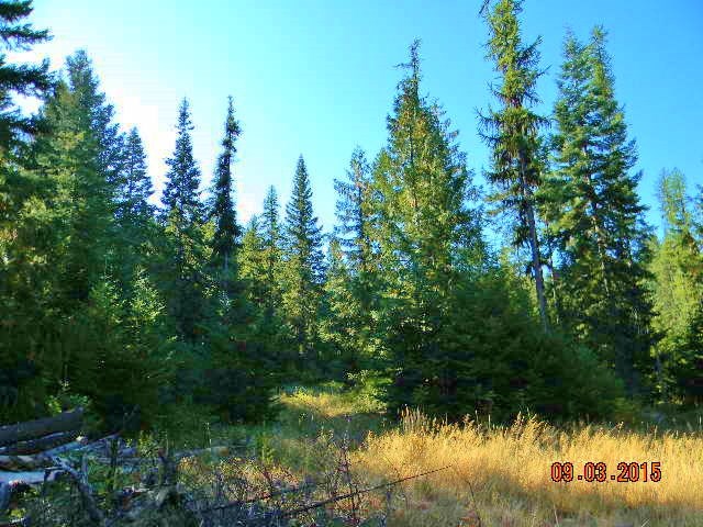 2967 Baker Lake Road Newport, WA 99156 - Photo 7 of 16 Gallery Image 7