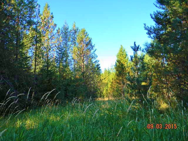 2967 Baker Lake Road Newport, WA 99156 - Photo 9 of 16 Gallery Image 9