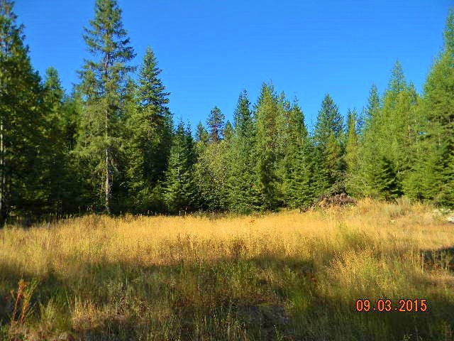 2967 Baker Lake Road Newport, WA 99156 - Photo 10 of 16 Gallery Image 10