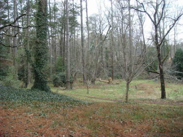 1710 Ivy Road Northeast Atlanta, GA 30342 - Photo 1 of 1 a view of outdoor space with trees all around