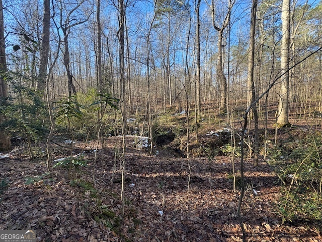 2581 Union Church Road Stockbridge, GA 30281 - Photo 2 of 4 a view of a backyard