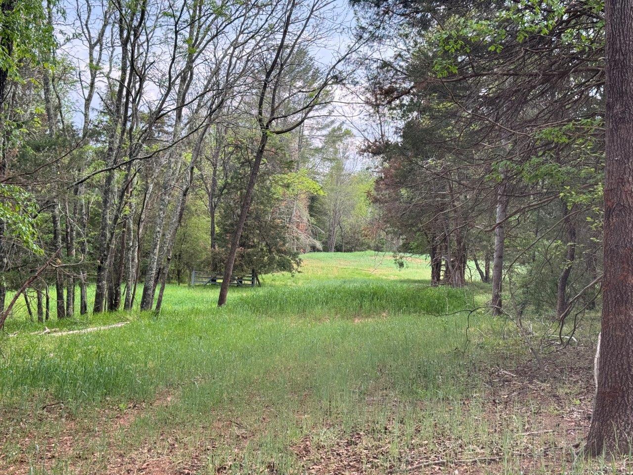 1630 Taylor Tyree Road Rocky Mount, VA 24151 - Photo 1 of 45 Main