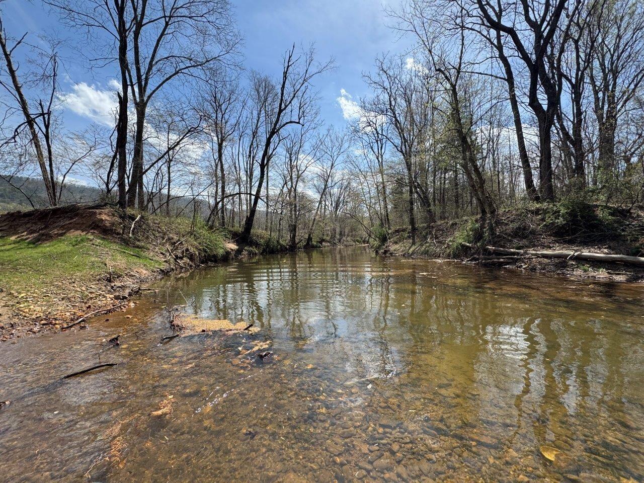 1630 Taylor Tyree Road Rocky Mount, VA 24151 - Photo 11 of 45 IMG_4686