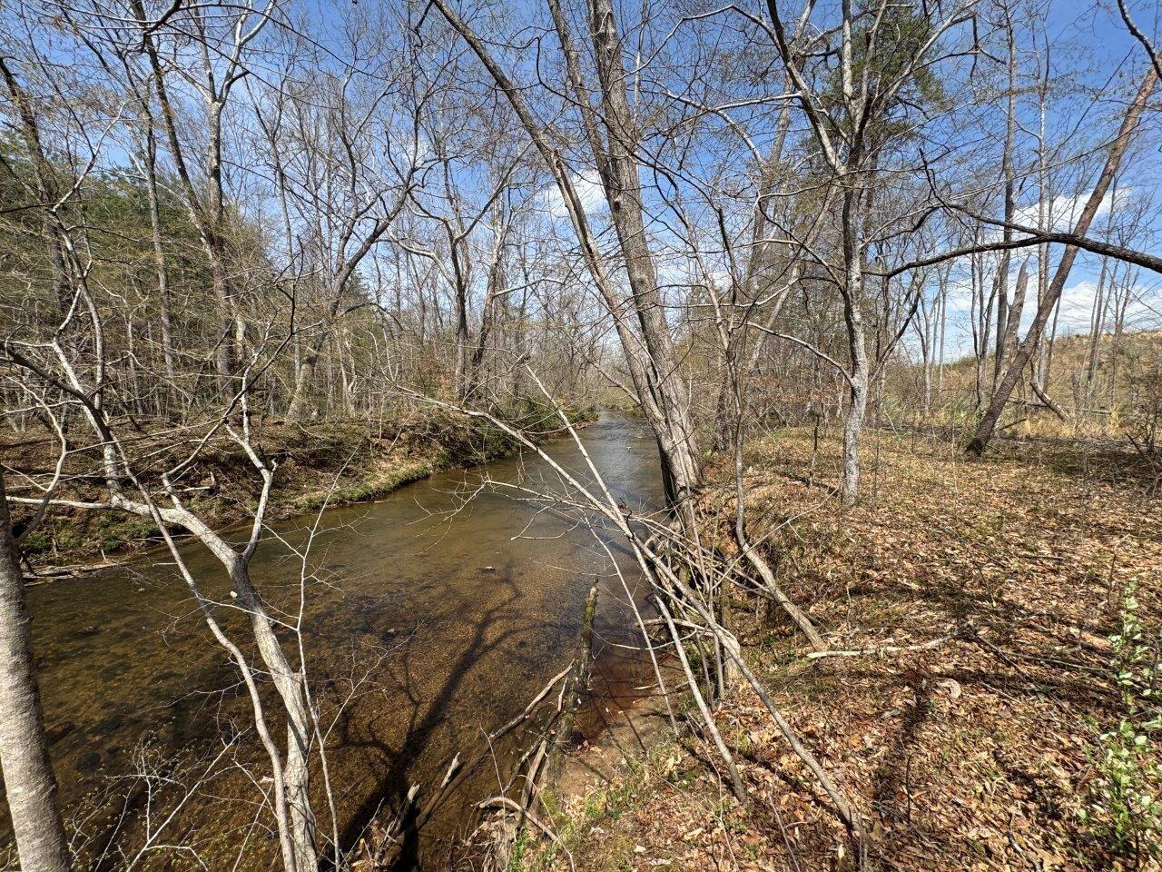1630 Taylor Tyree Road Rocky Mount, VA 24151 - Photo 18 of 45 IMG_4697