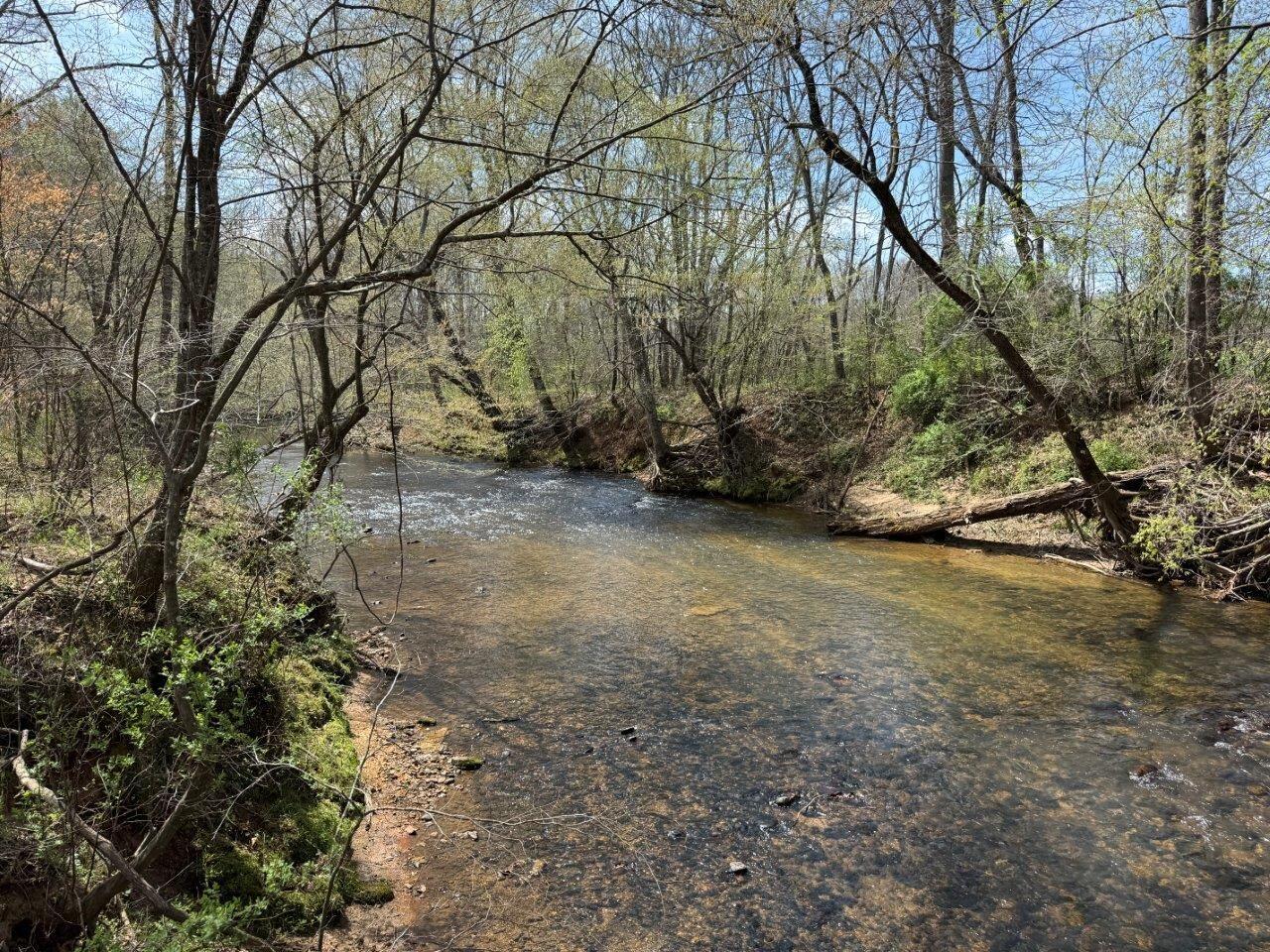 1630 Taylor Tyree Road Rocky Mount, VA 24151 - Photo 19 of 45 IMG_4700