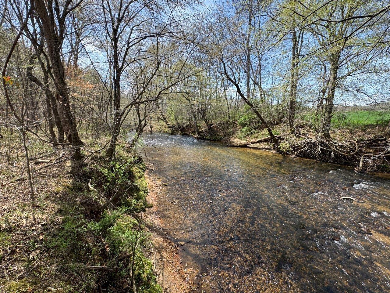 1630 Taylor Tyree Road Rocky Mount, VA 24151 - Photo 20 of 45 IMG_4701