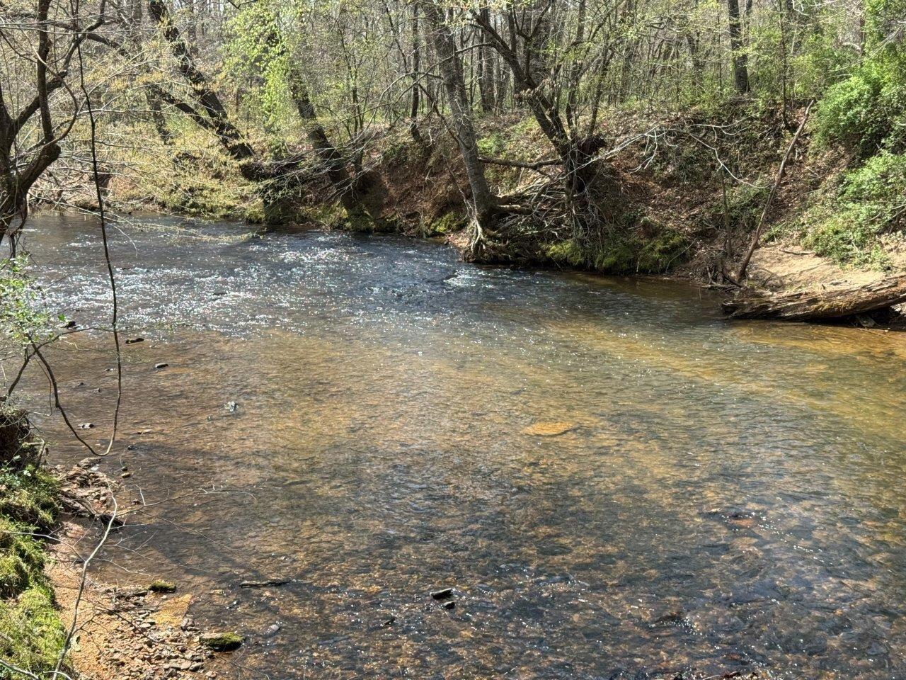1630 Taylor Tyree Road Rocky Mount, VA 24151 - Photo 21 of 45 IMG_4702
