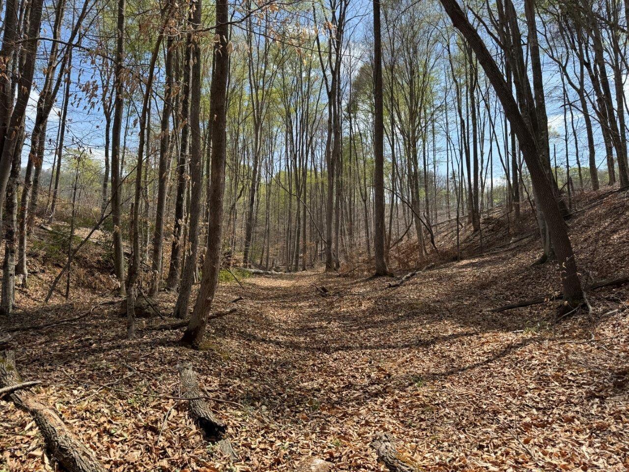 1630 Taylor Tyree Road Rocky Mount, VA 24151 - Photo 24 of 45 IMG_4708
