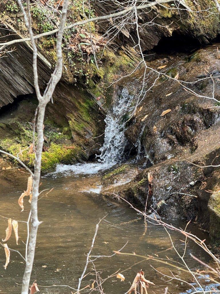 1630 Taylor Tyree Road Rocky Mount, VA 24151 - Photo 25 of 45 IMG_4709