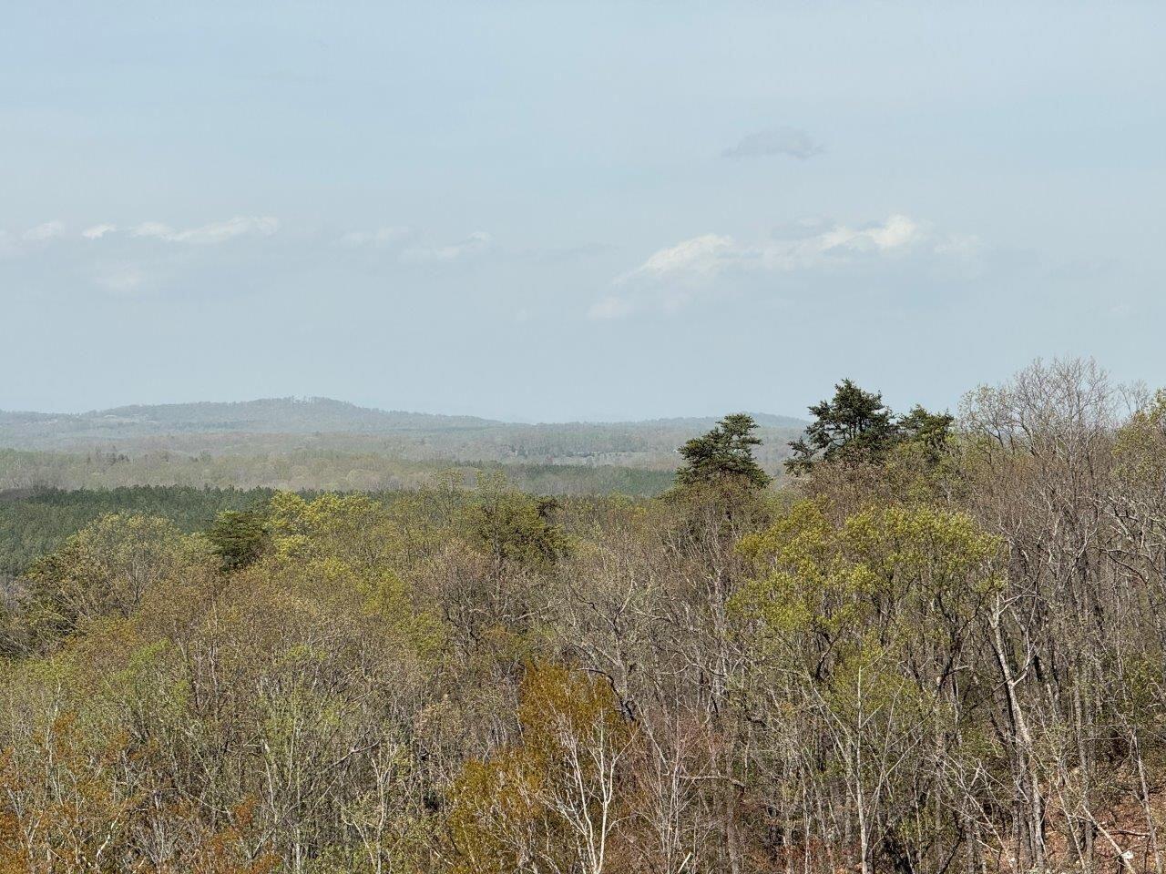 1630 Taylor Tyree Road Rocky Mount, VA 24151 - Photo 30 of 45 IMG_4737