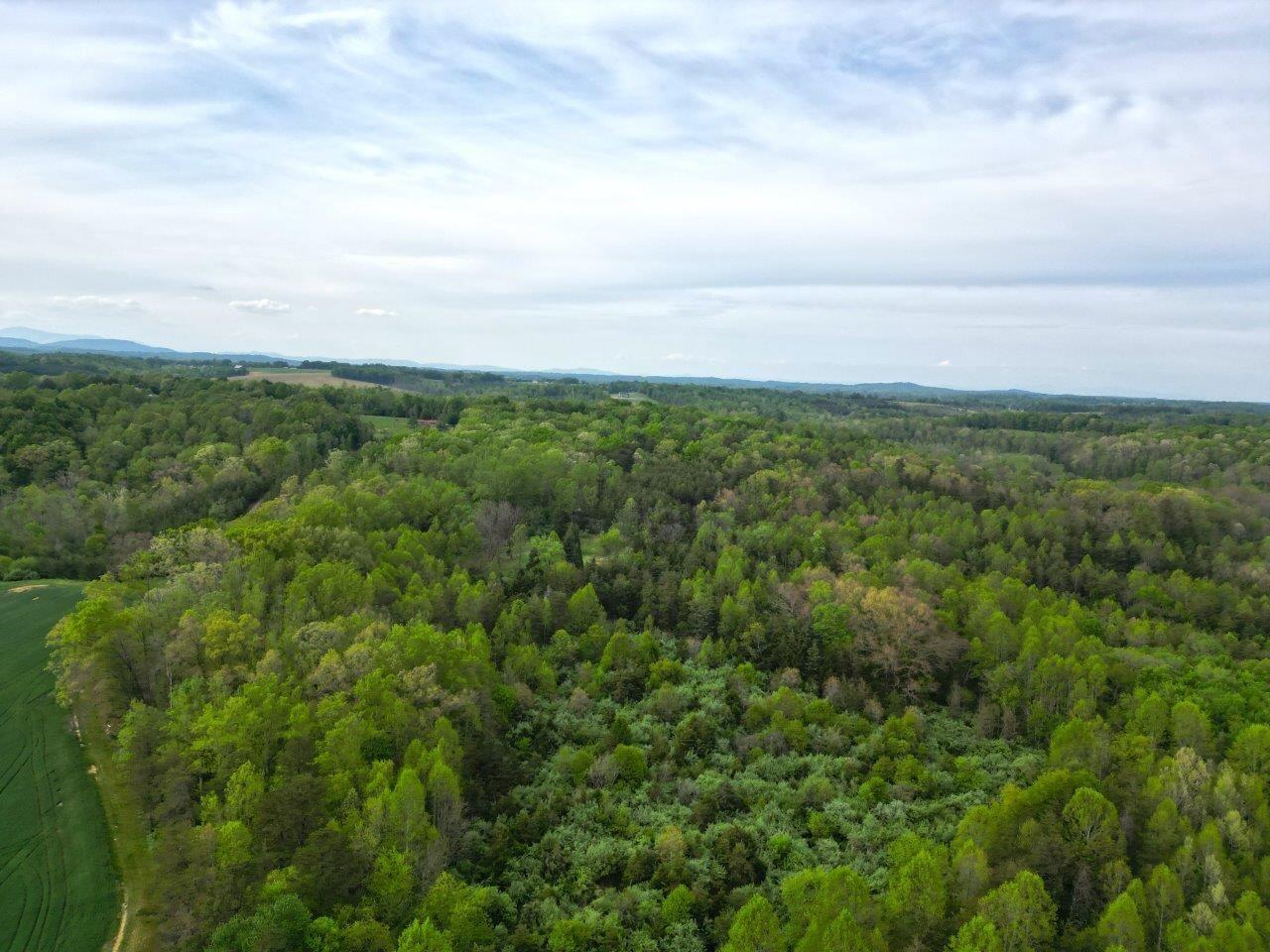 1630 Taylor Tyree Road Rocky Mount, VA 24151 - Photo 3 of 45 DJI_0587